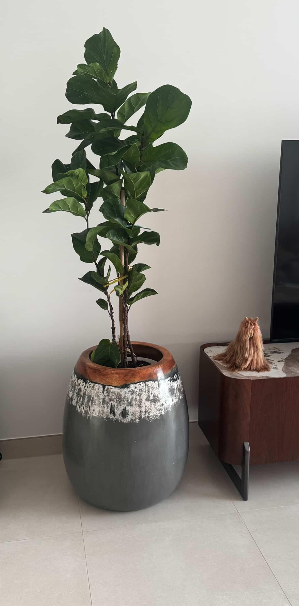 Planter - grey